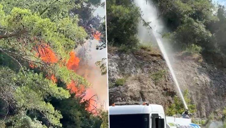Antalya’daki orman yangını kontrol altına alındı