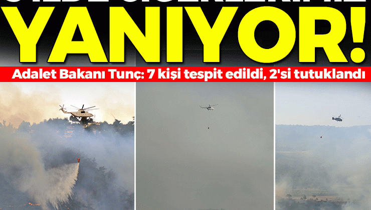 Hatay, Mersin ve Çanakkale’de orman yangınları devam ediyor