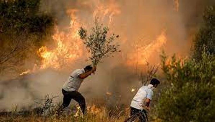 Adana, Muğla ve İzmir’de orman yangınları devam ediyor. Türkiye yangın yerine döndü