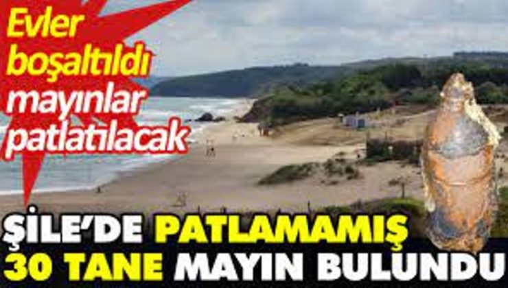 Şile sahiline patlamamış 30 mayın vurdu. Sofular plajı kapatıldı.