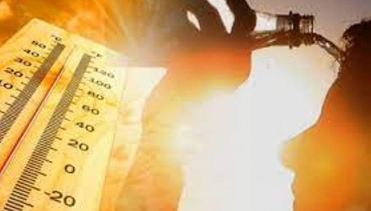 Aşırı sıcaklıklar ve yüksek nem için Turuncu ormanlar için Kırmızı alarm verildi
