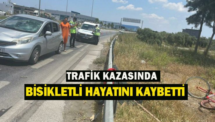 Yol kenarında gitmekte olan bisikletliye çarptı ve ölümüne neden oldu