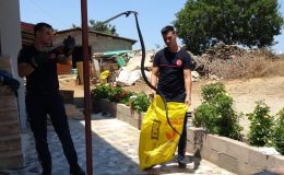 Türkiye’de şimdiye kadar görülmeyen yılanlar ortaya çıkmaya başlarken bir şehri yılanlar bastı