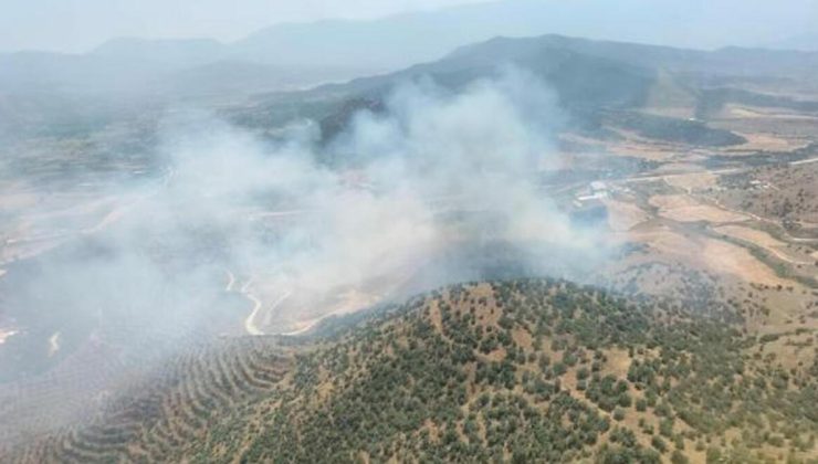 İzmir’de tarlada çıkan yangın, ormana sıçradı