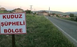 Şanlıurfa’da kuduz tedavisi gören kişi öldü