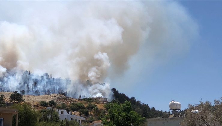 Yılan Adası mevkinde elektrik telleri koptu ve kıvılcımlar kuru otları tutuşturarak yangın meydana geldi