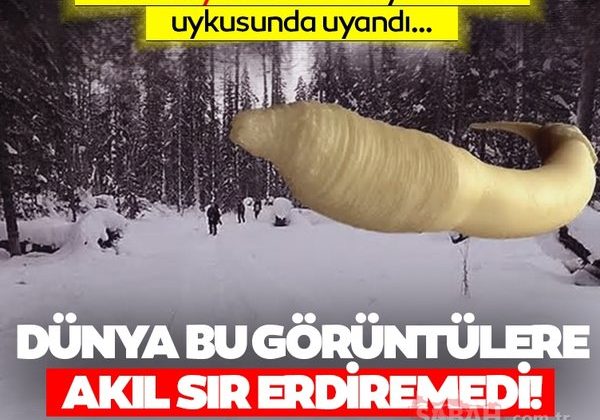 46 bin yıl sonra uykusundan uyandırdılar!  Dünya bu görüntülere akıl sır erdiremedi…