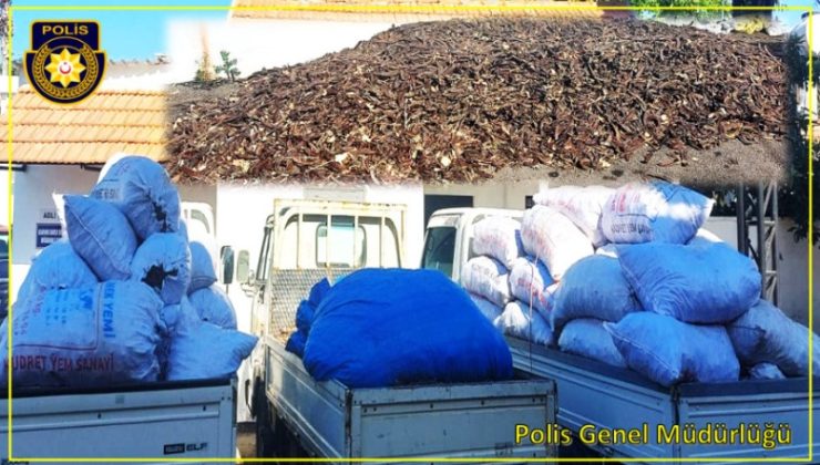 Güzelyurt’ta 5,635 kilo harnup çalan 4 kişi polis tarafından yakalandı