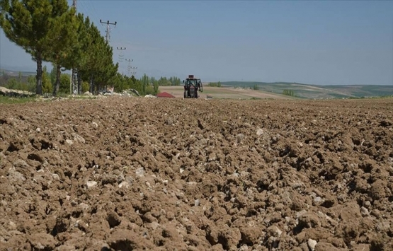 Hisseli tarlanın tümü kendisininmiş gibi 8,000 Stg.’ye başkasına sattı