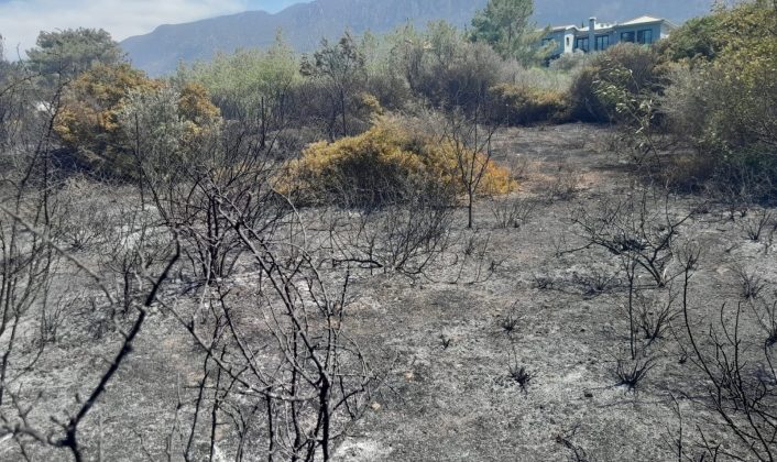 Polis Alsancak’ta çıkan yangın ile ilgili açıklama yaptı