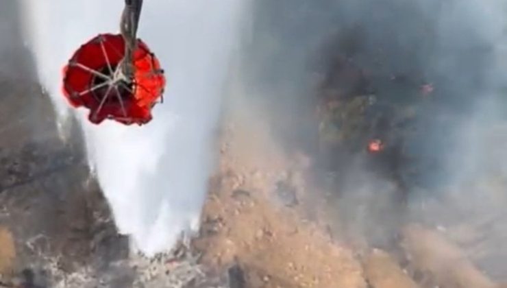 Balıkesir’de orman yangını