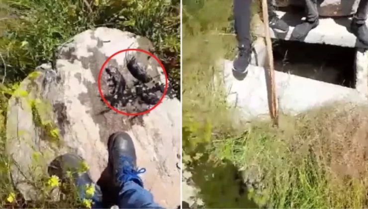 Erzurum’da içme suyu deposunda fare ölüleri çıktı