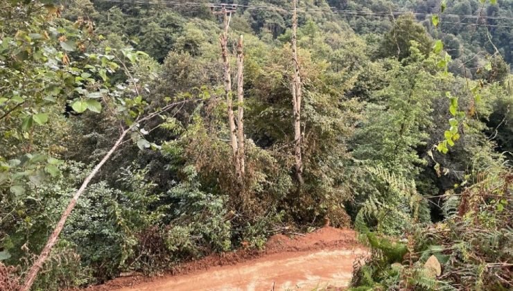 Şiddetli yağışlar Rize’de yaşamı olumsuz etkiledi