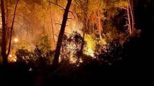 Adana’da 6 farklı nokta başlayan yangın söndürüldü