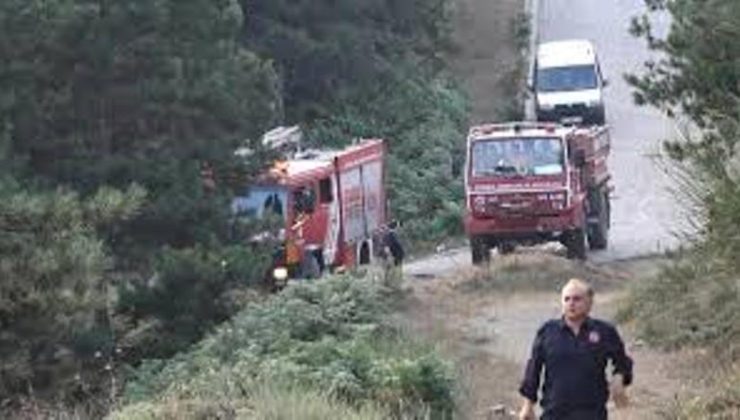Sultangazi Kent Ormanı’nda yangın