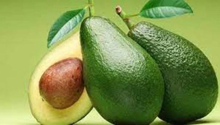 Güney Kıbrıs’tan, KKTC’ye yasal izinleri alınmadan 700 kilogram avokado getirdi tutuklandı