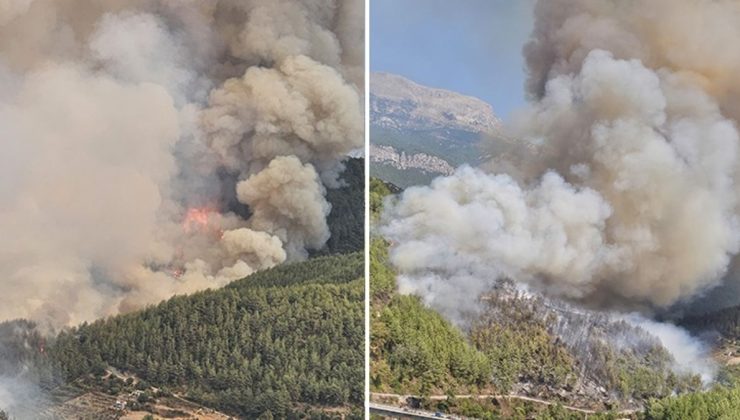 Antalya’da orman yangını! Alevler rüzgarın etkisiyle büyüdü, 17 ev boşaltıldı