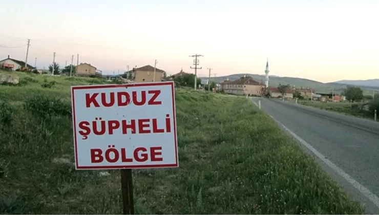 Artvin’de sahibini ısıran köpeğin kuduz olduğu ortaya çıktı! 3 köy karantina altına alındı