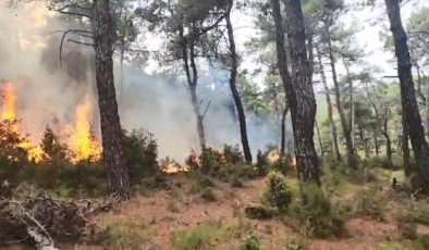 Çanakkale’de yıldırım düştü, iki bölgede yangın çıktı