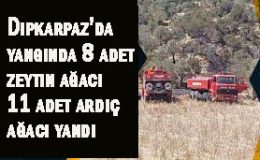 Dipkarpaz-Kaleburnu yolundaki 10 dönümlük arazide yangın çıktı 8 zeytin 11 ardıç ağacı yandı