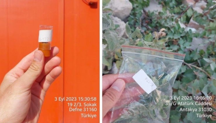 “Depremden kurtulduk, asbest yüzünden öleceğiz”