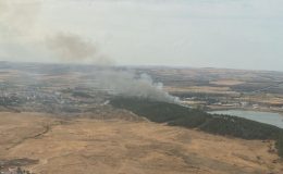 Edirne’de orman yangını