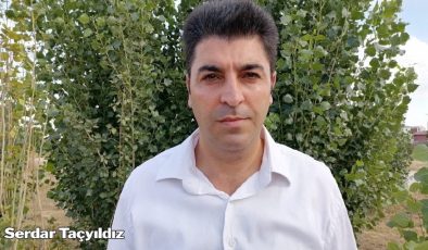 Oscar’lık dolandırıcılık hikayesi
