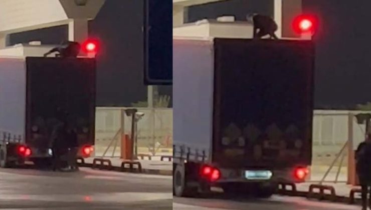 Sınır kapısında şaşırtan görüntü: Tırın brandasını kesip içine gizlendiler