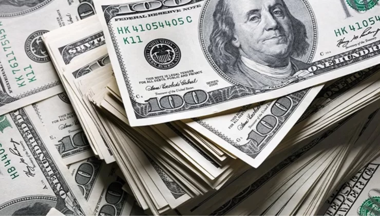 Dolar 24 liraya mı düştü? Google’ın hatası ortalığı ayağa kaldırdı