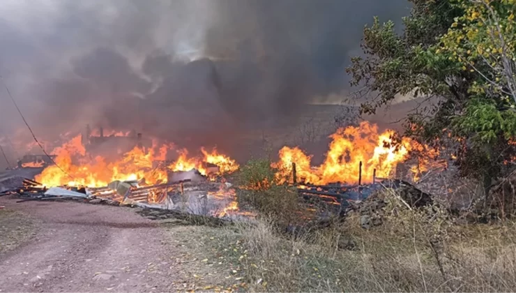 Kastamonu’da bir köyde çıkan yangında 40 ev ve ahır küle döndü