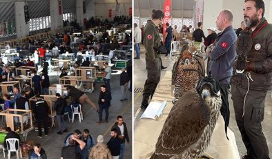Festivalde cins tavuklar 15 bin liraya, güvercinler ise 150 bin liraya kadar alıcı buldu