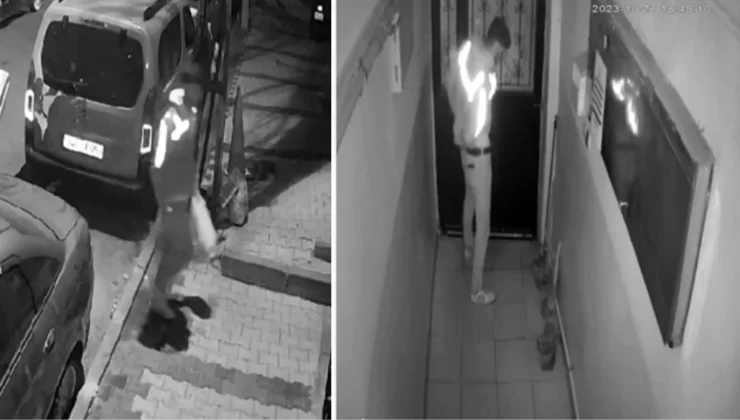 Kötü kokunun izini süren apartman sakinleri, kuryenin yaptığını görünce şoke oldu