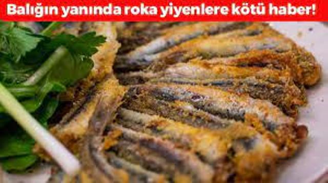 Balığın yanında roka yiyenlere kötü haber! Faydalı diye yıllarca tükettik ama…
