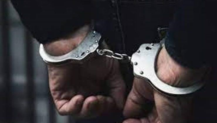 Kalkanlı’da fidan hırsızlığı yapan ve 19 adet fidanı çalan 21 yaşındaki genç tutuklandı