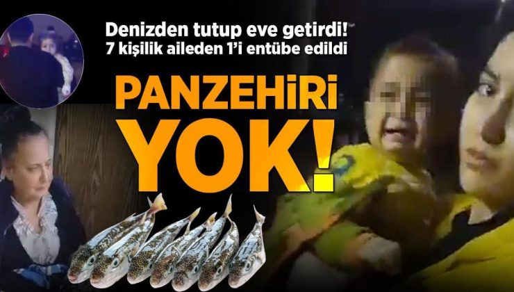 Balon balığı faciası: 7 kişiden 1’i entübe edildi