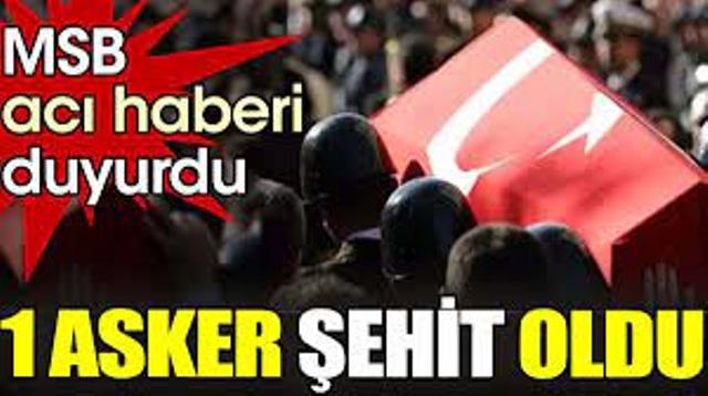 MSB acı haberi duyurdu: 1 asker şehit oldu