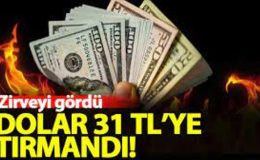 Dolar/TL 31 seviyesini gördü