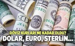 Dövizde son durum