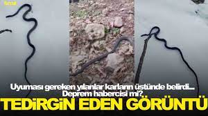 7,4 büyüklüğünde depremin habercisi mi? Kış günü tedirgin eden görüntü