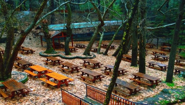 Trodos’a gezmeye giden Kıbrıslı Türk 8 genç, bir grubun taşlı sopalı saldırısına uğradı