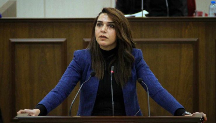 Fide Kürşat ”Sahte zeytin yağı satarak halk sağlığı ile oynayanlar ifşa edilmeli”