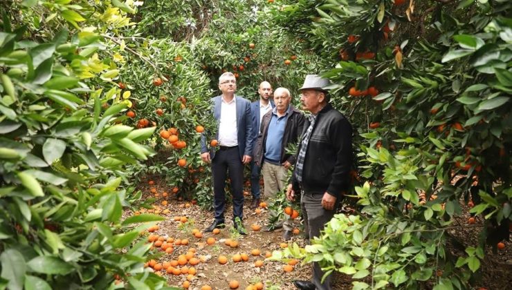 Erhürman: “Üreticiyi korumak için planlama şart”