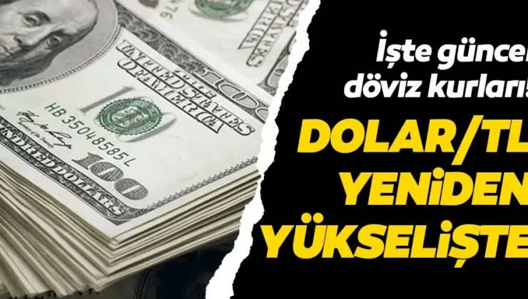Dövizin freni patladı durdurulamıyor