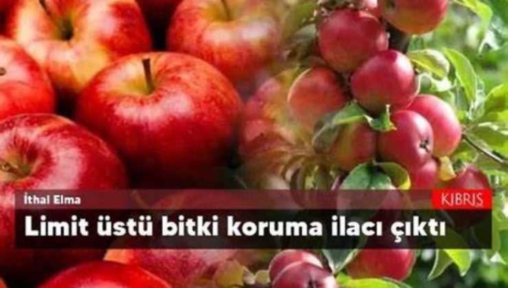 İthal üç elma tründe ve yerli ürün bir biber türünde limit üstü koruma ürününe raslandı