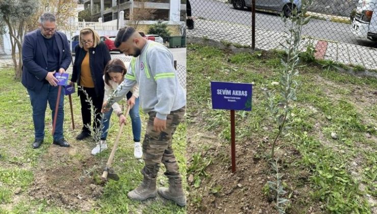 Şiddete maruz kalarak hayatlarını kaybeden kadınlar anısına fidan dikildi: Başka fidan dikmek istemiyoruz!
