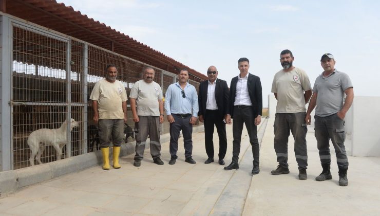 AMCAOĞLU: “MİNİK CANLARIMIZIN REFAHI İÇİN ÇALIŞIYORUZ”