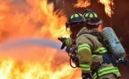 Aydınköy’de narenciye bahçesinde çıkan yangını, narenciye ağaçları ile zeytin ağaçlarına zarar veri