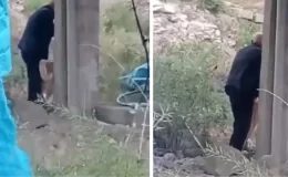 Kuru ekmek vererek kendisine alıştırdığı köpeğe tecavüz etti