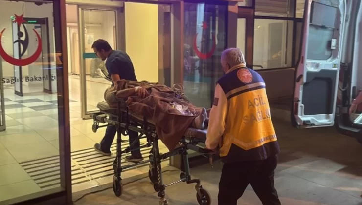 Patronunu bıçaklayıp başına kazma sapladı