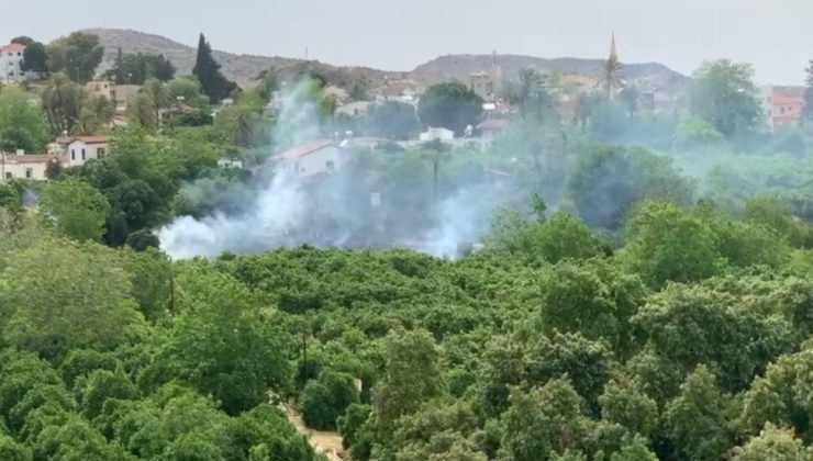 Lefke’de Portakal bahçesinde başlayan yangın kontrol altına alındı